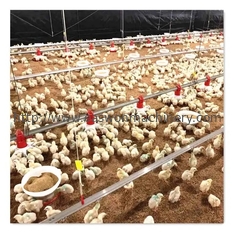 Komple Otomatik Tavuk Çiftliği Ekipmanları Broiler Tavuk Kafesi T607 Kontrol Cihazı