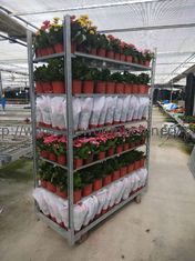 Büyüyen Tohumlama HDG Danimarka Çiçek Arabası W565mm Ev Bitkisi Rafları