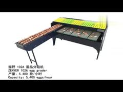 yumurta sınıflandırma makinesi