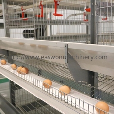 Q235 Çelik Otomatik Tavuk Çiftliği Ekipmanları Tavuk Yumurtlamak İçin Tavuk Katman Kafesleri