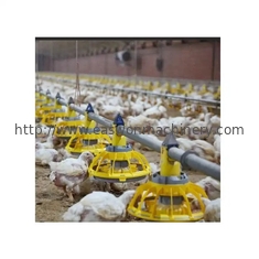 Çevre Kontrolü Hayvancılık / Tavuk Çiftliği Ekipmanları Otomatik Besleme Tavuk