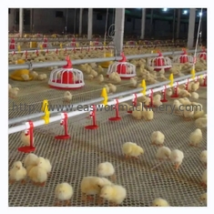 Havalandırma Sistemli Tavuk Kümesi Otomatik Tavuk Çiftliği Ekipmanları